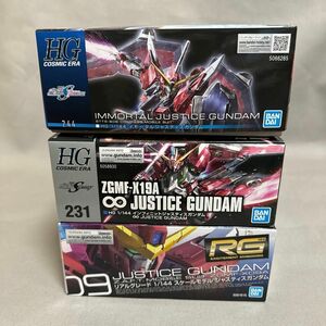 HGイモータルジャスティス　インフィニットジャスティスガンダム　RGジャスティスガンダム　セット