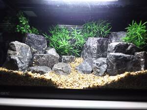 3[ popular commodity ] Kiyoshi . stone (vr board shape )12 kilo set * inspection aquarium dragon . stone ADA tropical fish ... layout aquarium 