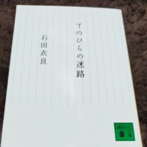 てのひらの迷路 （講談社文庫　い１０１－３） 石田衣良／〔著〕