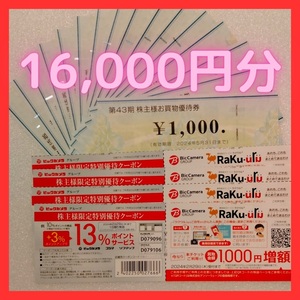 【最新】ビックカメラ 16000円分