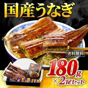 お中元 ギフト うなぎ 蒲焼き 国産 無頭180g× 2尾 真空パック入り ギフト化粧箱 ウナギ 鰻 unagi 贈り物 FF