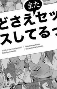 ブルーロック同人誌 士道龍聖×糸師冴 士冴 しどさえ　対称でも暗し◆ ちほ　/346