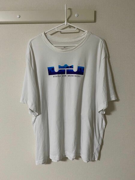 ナイキ　エアジョーダン　レイカーズ　レブロン　Tシャツ　NBA 