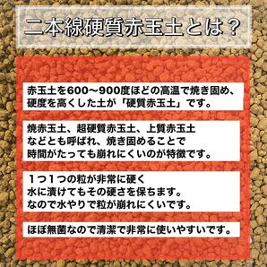 二本線硬質赤玉土 小粒  2L 小粒 多肉植物 サボテン 観葉植物 土 の画像2