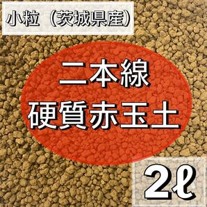 二本線硬質赤玉土　小粒　 2L 小粒 多肉植物 サボテン 観葉植物 土 