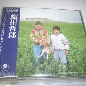 織田哲郎のＣＤ「いつかすべての閉ざされた扉が開かれる日まで」！帯付！!の画像1