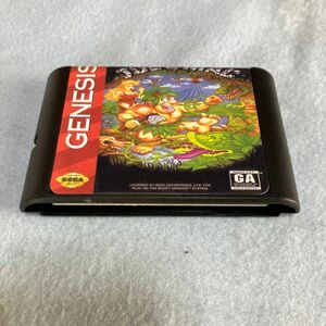 海外製MD GENESIS JOE&MAC 中古品