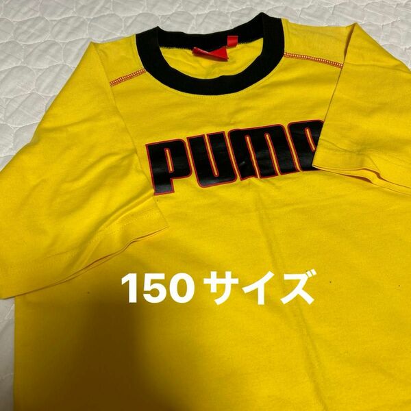 プーマ Tシャツ PUMA 半袖Tシャツ150サイズ