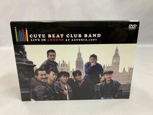 チェッカーズ CUTE BEAT CLUB BAND Tシャツ LIVE IN LONDON AT ASTORIA,1987 DVD [004] 012/204C