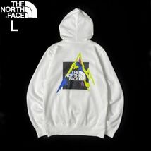 1円～!売切!【正規新品】THE NORTH FACE◆PLACES WE LOVE HOODIE パーカー US限定 グラフィック 裏起毛 ボックスロゴ(L)白 181130-B-33_画像3