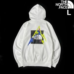 1円～!売切!【正規新品】THE NORTH FACE◆PLACES WE LOVE HOODIE パーカー US限定 グラフィック 裏起毛 ボックスロゴ(L)白 181130-B-33