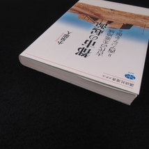 本 『都市の起源 古代の先進地域 西アジアを掘る』 ■送120円 小泉龍人 講談社選書メチエ○_画像7