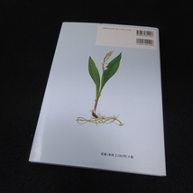 本 『増補改訂2版 植物による食中毒と皮膚のかぶれ 身近にある毒やかぶれる成分をもつ植物の見分け方』 ■送170円 指田豊 中山秀夫●_画像10