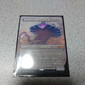 MTG 2X2 引き裂かれし永劫、エムラクール 日本語 一枚 ボーダーレス 即決