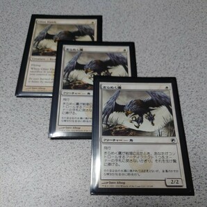 MTG SOM きらめく鷹 日本語2 英語1 三枚セット 即決の画像1