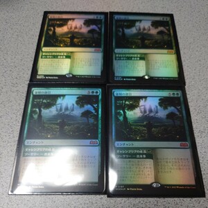 MTG WOE 強靭の徳目 日本語foil 四枚セット エルドレインの森 即決