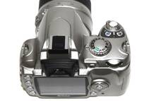 【美品】Nikon D40 AF-S NIKKOR 18-55mm 1:3.5-5.6 GⅡ ED DX ショット数8,450回 ニコン_画像5