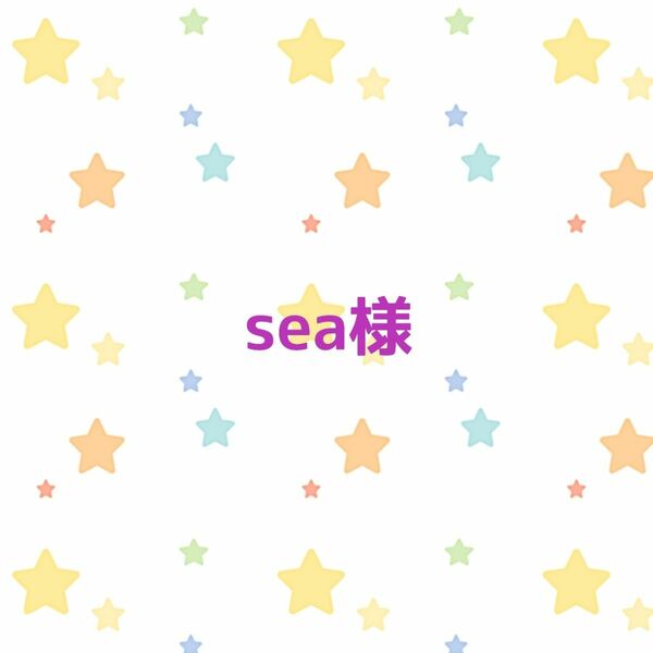 sea様　エプロン&巾着袋&レッスンバッグ