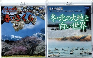 [Blu-ray] japanese scenery spring * Sakura | winter * north. large ground . white world [ new goods Blue-ray 2 pieces set ]