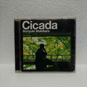 槙原敬之／Ｃｉｃａｄａ （通常盤）