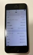 iPhone 5s A1453 16GB スペースグレイソフトバンク_画像9