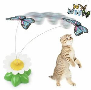  electric cat .... butterfly .