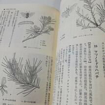 改訂 庭木・花木の病気と害虫 藍野祐久/伊藤一雄/他 誠文堂新光社 昭和48年 初版_画像5