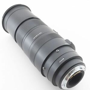 【光学極上品】SIMGA シグマ 50-500mm 1:5-6.3 APO DG HSM OS キャノン用 レンズ #528の画像9