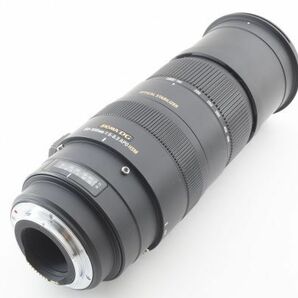 【光学極上品】SIMGA シグマ 50-500mm 1:5-6.3 APO DG HSM OS キャノン用 レンズ #528の画像8