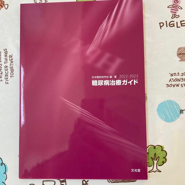 糖尿病治療ガイド　２０２２－２０２３ 日本糖尿病学会／編・著