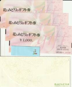 【NEW】花とみどりのギフト券1,000円券3枚　封筒つき