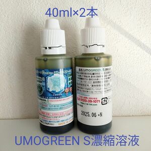 ケイ素に葉緑素をプラス UMOGREEN S濃縮溶液 グリーンシリカ 40ml×2本 葉緑素 水溶性ケイ素 原液 活性珪素