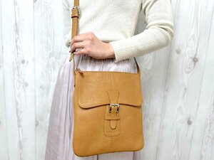 極美品 LOEWE ロエベ ショルダーバッグ バッグ レザー 茶 69681Y