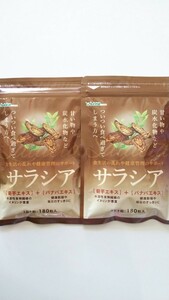 新品 約３ヶ月分×２袋（約６ヶ月分） サラシア シードコムス seed coms ダイエット 菊芋エキス バナバエキス イヌリン 送料210円～