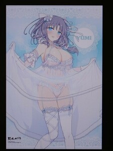 xH9 「閃乱カグラ」①雪泉(レース/下着) 描き下ろしB2タペストリー