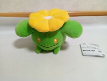 ポケットモンスター カラーセレクションぬいぐるみ〜green〜ポポッコ_画像1