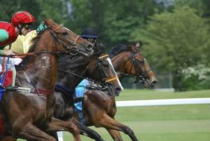 先週は回収率２６３％！　攻守の１点ワイド馬券術　初心者でも同じ買い目　競馬予想　競馬予想ソフト　必勝法　ソフト　副業　副収入