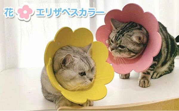 エリザベスカラー 猫用 犬用 ソフト 着脱便利 傷舐め防止 S