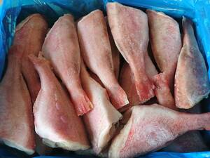 ☆業務用**　うろこ・ひれ処理済　　赤魚　２５～３０尾入り　　合計５キロ　冷凍