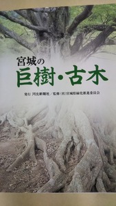 宮城の巨樹・古木　河北新報社　宮城県緑化推進委員会