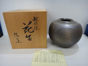 * Echizen .. mountain artificial flower vessel vase flower raw also box attaching *