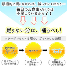 超低分子おさかなコラーゲン（フィッシュコラーゲンペプチド100％）微顆粒 １kg 送料無料_画像4