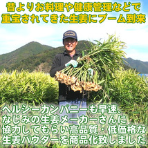 生姜 粉末 しょうが パウダー 100ｇ 高知県産ウルトラ生姜 殺菌蒸し工程 1cc計量スプーン入り メール便 送料無料_画像5