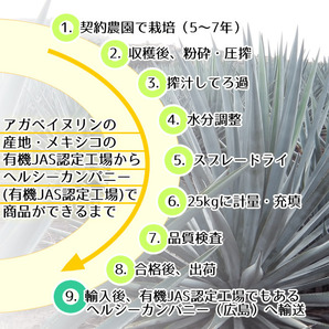 アガベイヌリン（水溶性食物繊維）５００ｇ 有機栽培 オーガニック メール便 送料無料の画像7