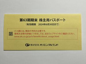 東京ディズニーリゾート株主用パスポート　有効期限2024年6月30日　1枚