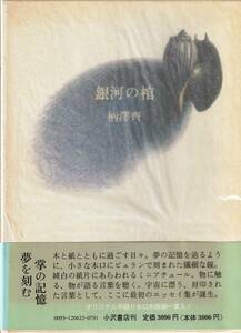 銀河の棺　「著者」柄澤斎　オリジナル手刷り木口木版画1葉　1994年　小沢書店