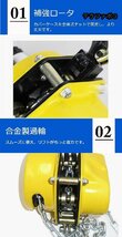 レバーホイスト ミニサイズ 軽量化 携帯しやすい 合金鋼 チェーンローラー ヒッパラー 荷締機 高品質 (0.25T/3M)_画像6