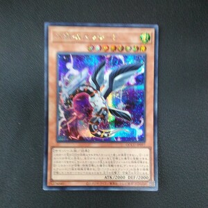 遊戯王　パラレルエクシード