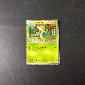 ポケモンカード 傷汚れ有り ツタージャ