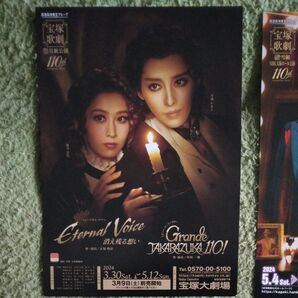 宝塚歌劇団 フライヤー 月 雪 専科